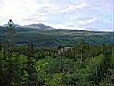 20020830_103_Colorado_-_Rocky_Mountain_NP_-Alberta_Falls_-_Overlook.jpg