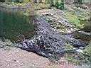 20020912_398_Colorado_-_US_82_-_von_Independence_Pass_Richtung_Granite.jpg