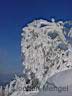 20030210_3581_Rhoen_Wasserkuppe.jpg